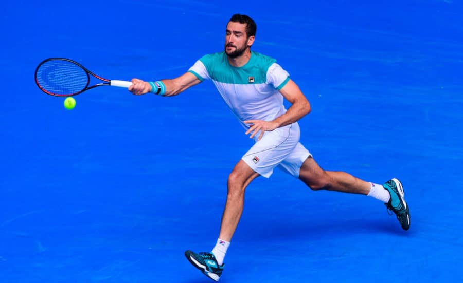 Marin Cilic salutes crowd